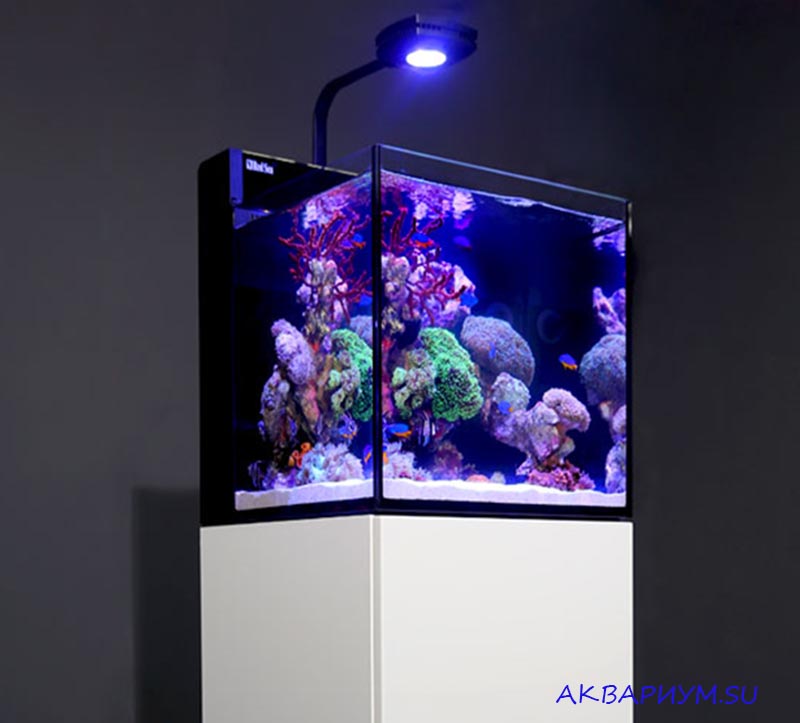 Как изготовить аквариум в домашних условиях